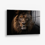 Lion HZ – Glas