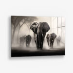 Elephant Family II – Glas