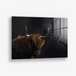 Gazing Highlander – Glas