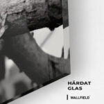 Jaguard In The Tree – Glas - Bild 2