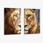 Set: "Lion & Lioness Color" (2x) – Glas