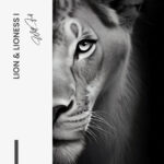 Set: "Lion & Lioness II" (2x) – Glas - Bild 5