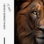 Set: "Lion & Lioness Color II" (2x) – Glas - Bild 4
