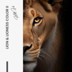 Set: "Lion & Lioness Color II" (2x) – Glas - Bild 5