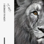 Set: "Lion & Lioness" (2x) – Glas - Bild 4