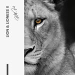 Set: "Lion & Lioness" (2x) – Glas - Bild 5
