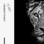 Set: "Lion & Lioness III" (2x) – Glas - Bild 4
