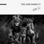 The Lion Family II – Glas - Bild 4