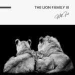 The Lion Family III – Glas - Bild 4