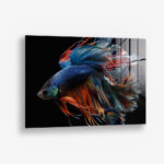 Betta Fish – Glas