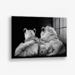 The Lion Family III – Glas