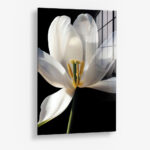 White Flower – Glas