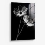 X-Ray Flowers – Glas