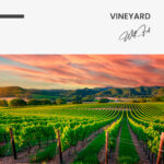 Vineyard – Glas - Bild 4