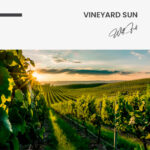 Vineyard Sun – Glas - Bild 4