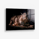 Rhino – Glas