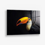 Toucan – Glas