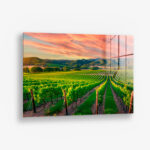 Vineyard – Glas