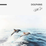 Dolphins – Glas - Bild 4