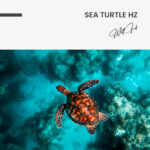 Sea Turtle HZ – Glas - Bild 4