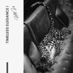 Set: "Timeless Elegance" (2x) – Glas - Bild 4