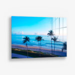 Palms of Paradise – Glas