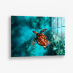 Sea Turtle HZ – Glas