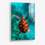Sea Turtle VT – Glas
