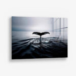 Whale's Tail – Glas
