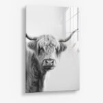 White Muscox – Glas