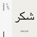 Shukr II – Glas - Bild 4