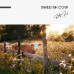 Swedish Cow – Glas - Bild 4