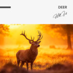 Deer – Glas - Bild 4