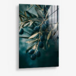Olive Tree Closeup – Glas
