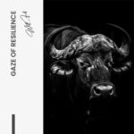 Gaze of Resilience – Glas - Bild 4