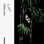 The Panda – Glas - Bild 4