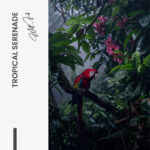 Tropical Serenade – Glas - Bild 4