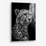 Cheetah's View – Glas