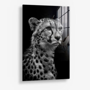 Cheetah's View – Glas