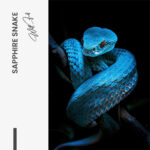 Sapphire Snake – Glas - Bild 4