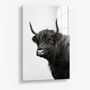B&W Muscox II – Glas