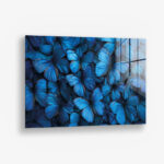 Butterfly Sea – Glas