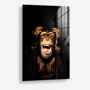 Dark Monkey Hear no Evil – Glas