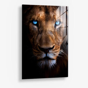Lion's Close-up – Glas