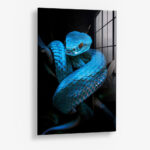 Sapphire Snake – Glas