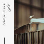 Set: "Coded in Luxury" (3x) – Glas - Bild 6