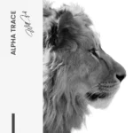 Alpha Trace – Glas - Bild 4