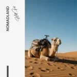 Nomadland – Glas - Bild 4