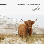 Nordic Highlander – Glas - Bild 4