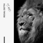 Regal Depth – Glas - Bild 4